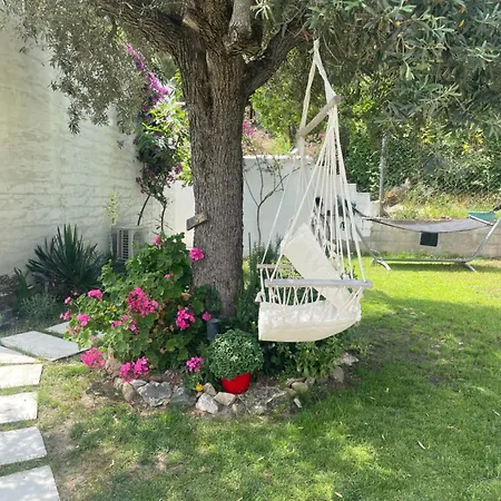 Krum's Little Secret Vila Vourvourou